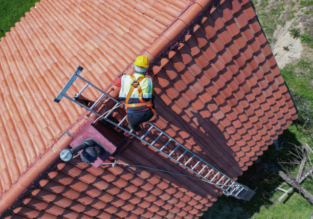 Best Roof Maintenance and Cleaning  in Garland, TX